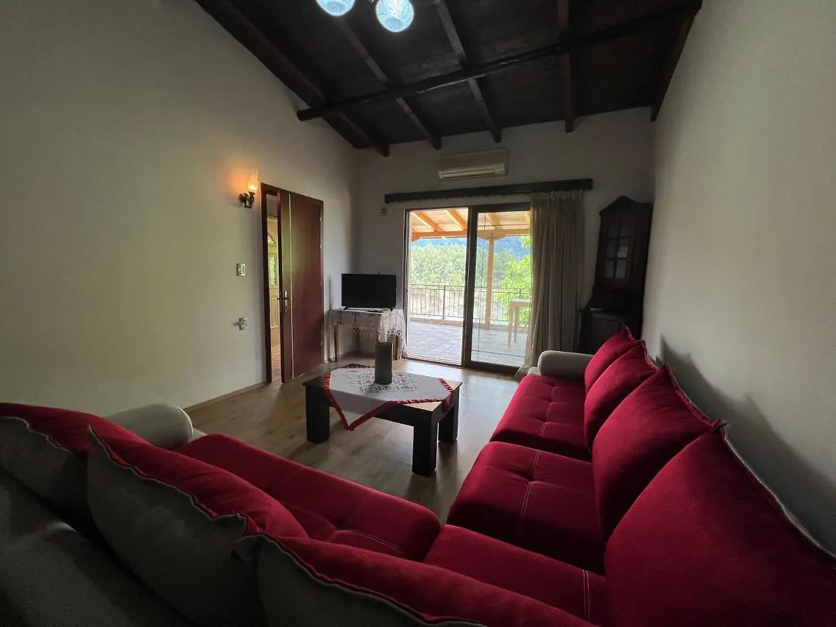 Guest House Vjosa Пермети