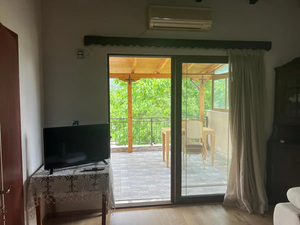 Guest House Vjosa Пермети
